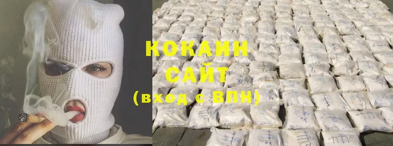 где можно купить наркотик  Белая Холуница  Cocaine FishScale 